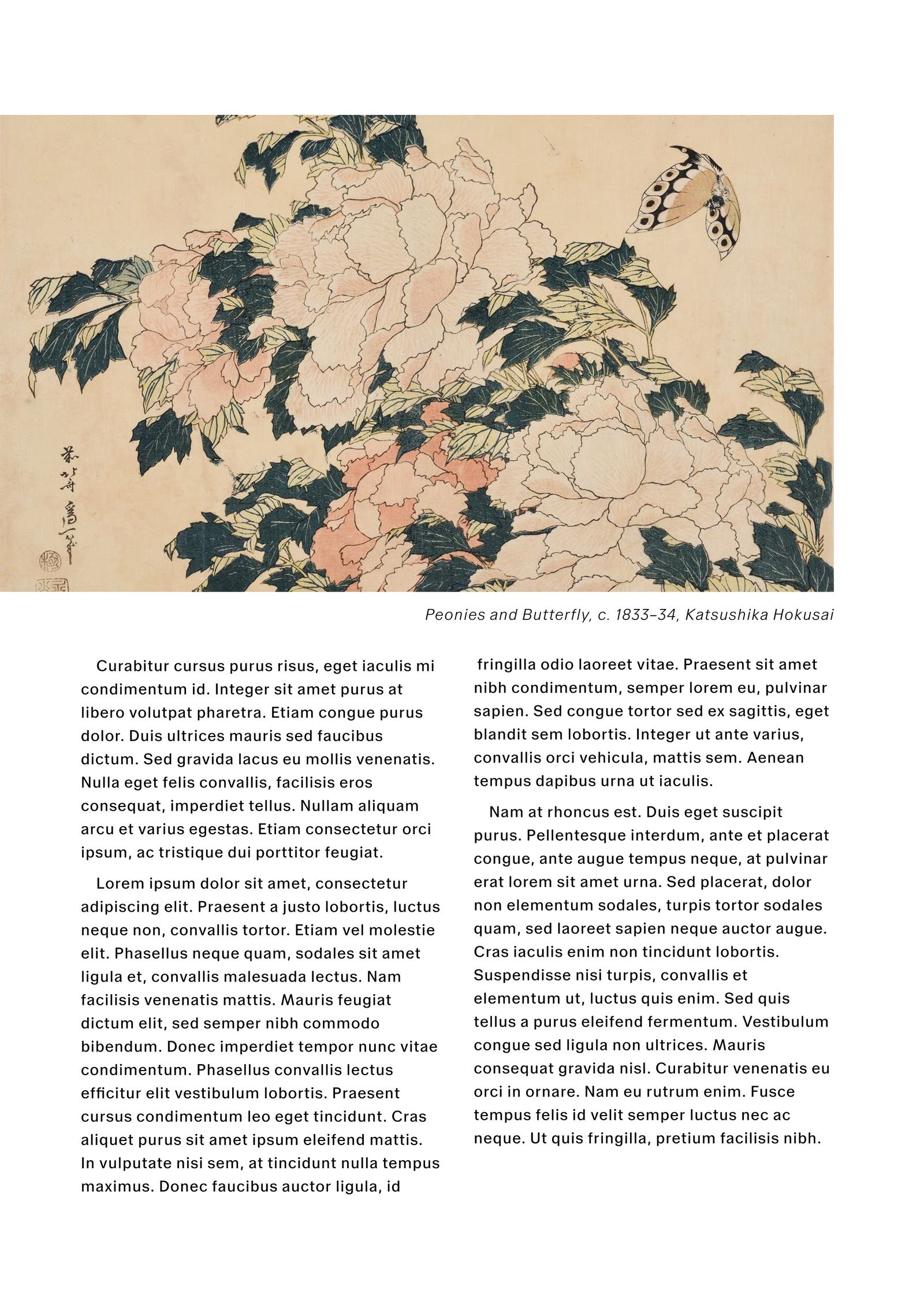 Basalt editorial spread — image page