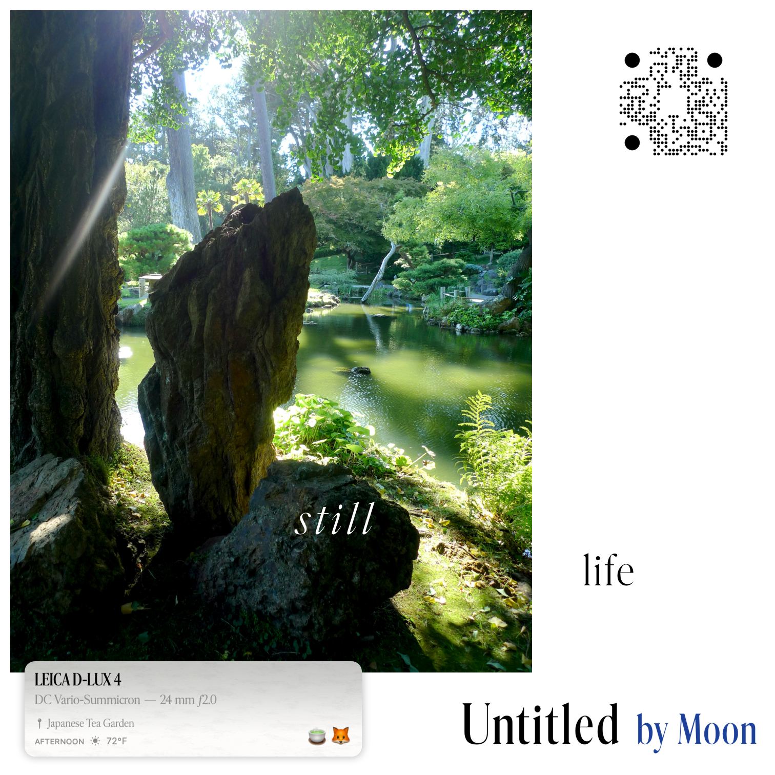 Untitled campaign insertion: “still life” over a photograph of a standing rock in a Japanese tea garden