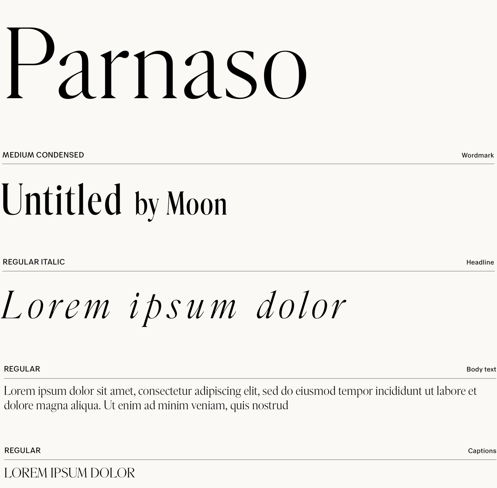 Untitled type system: Parnaso in display, text, and caption roles, each specimen at actual size